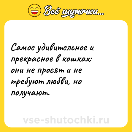 Шутка: Самое удивительное и прекрасное в кошках: они не просят и не требуют любви, но получают.