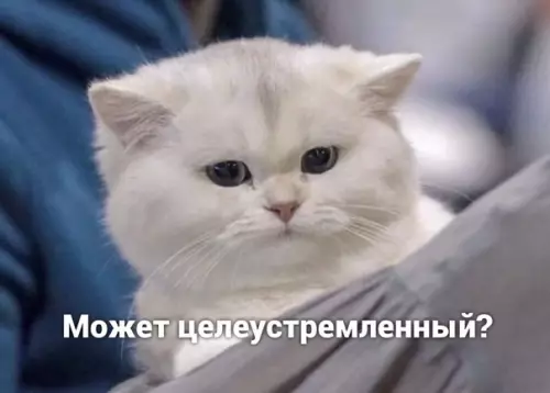 продолжение Смешная картинка №564085 Жизненно