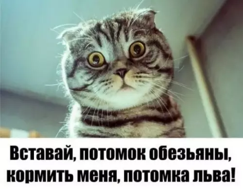 Смешная картинка №690876