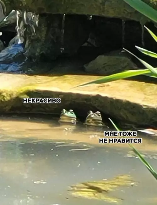 продолжение Смешная картинка №603873 Hy мыы