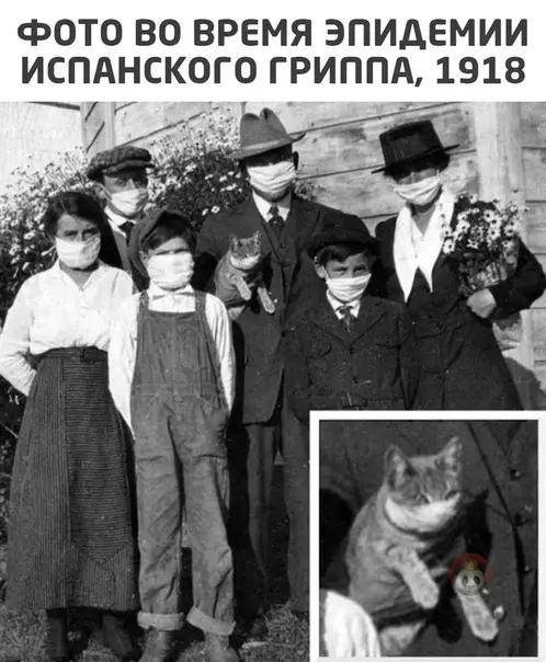 Смешная картинка №523726 Когда у тебя осталась одна из 9 жизней ?