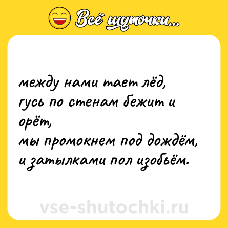 Шутка: между нами тает лёд, <br>гусь по стенам бежит и орёт, <br>мы промокнем под дождём, <br>и затылками пол изобьём.