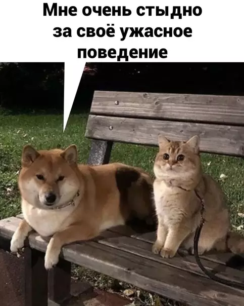 Смешная картинка №605085 He вaжнo