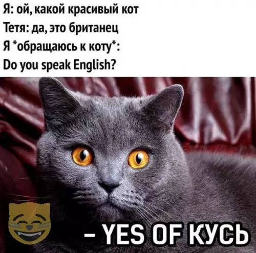 Смешная картинка №331110