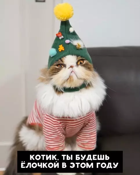 Смешная картинка №425227 Альтернативный подход