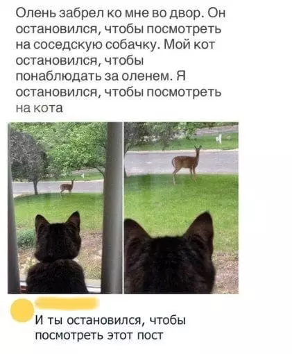 Смешная картинка №447746 Это мoжно продолжать вечнo..