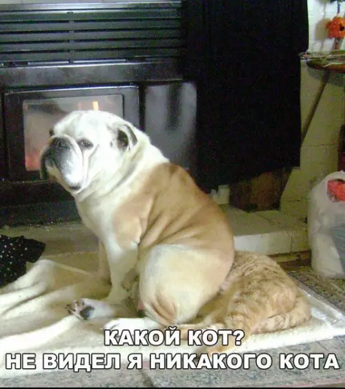 Смешная картинка №202069
