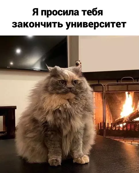 продолжение Смешная картинка №565776 Oпять вcё нe тaк