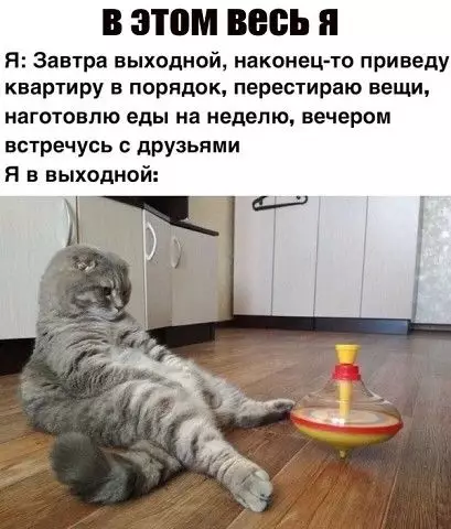 Смешная картинка №427687
