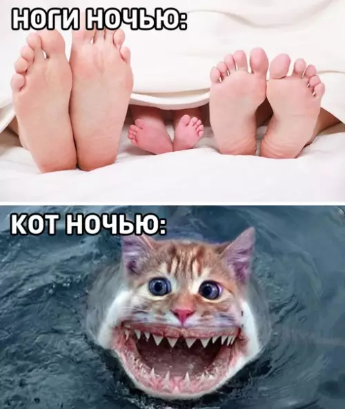 Смешная картинка №481088