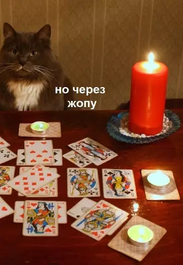 продолжение Смешная картинка №766219