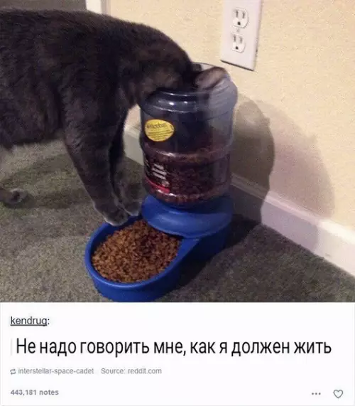 Смешная картинка №351711
