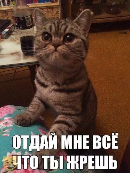 Смешная картинка №318586