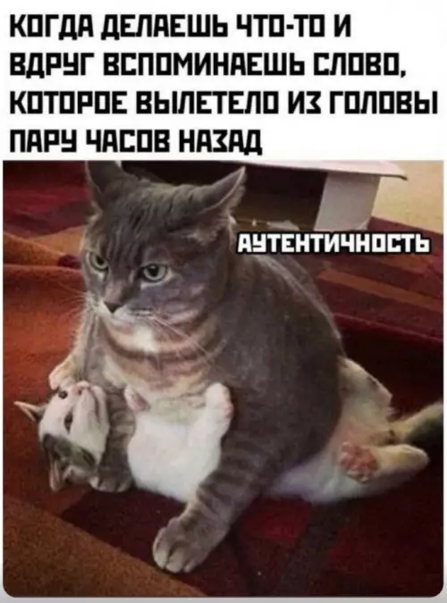 Смешная картинка №802641