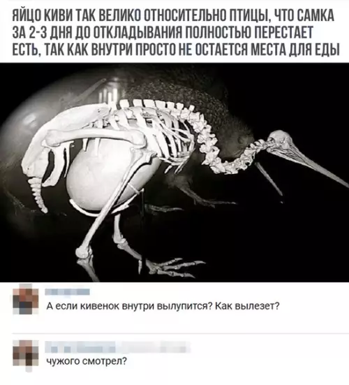 Смешная картинка №309093
