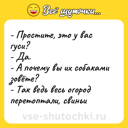 Шутка: - Простите, это у вас гуси?<br>- Да.<br>- А почему вы их собаками зовёте?<br>- Так ведь весь огород перетоптали, свиньи