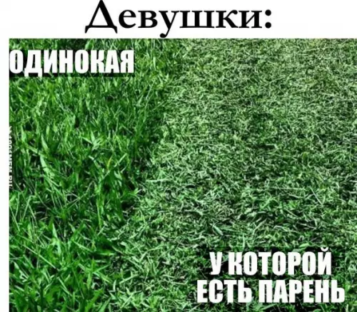 Смешная картинка №178264
