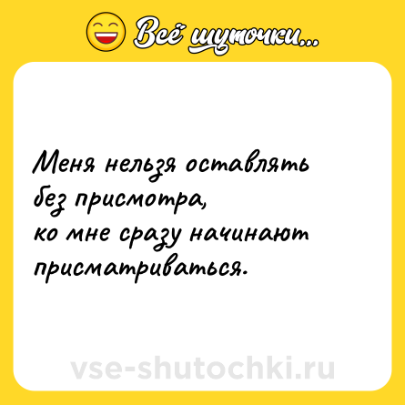 Шутка: Меня нельзя оставлять без присмотра,  <br>ко мне сразу начинают присматриваться.