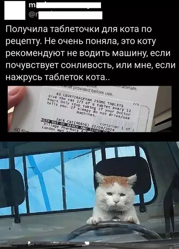 Смешная картинка №754117