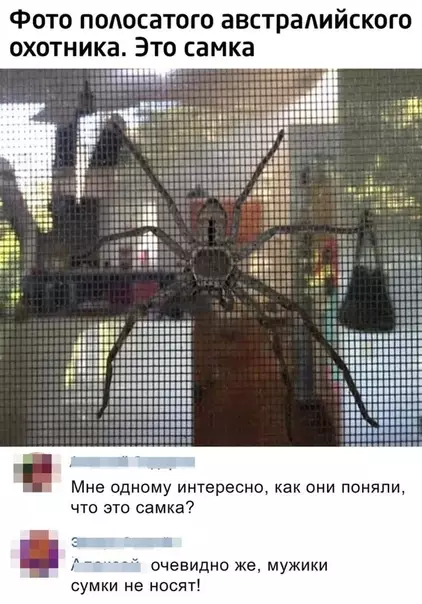 Смешная картинка №459244 Гениально