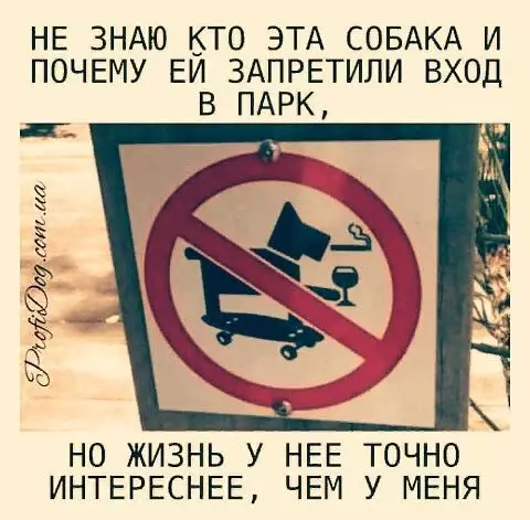 Смешная картинка №373747