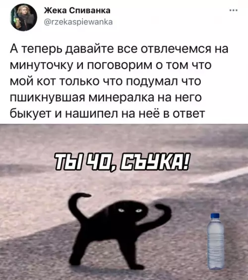 Смешная картинка №574805