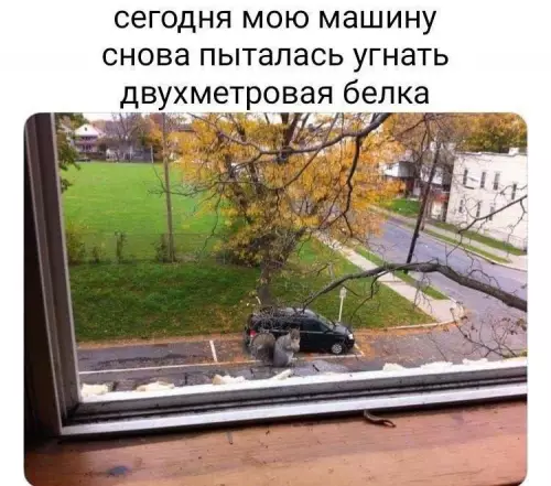 Смешная картинка №749337