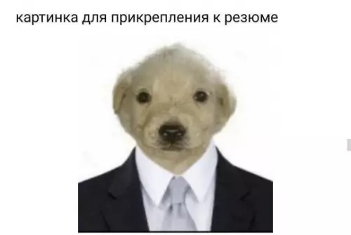 Смешная картинка №753857