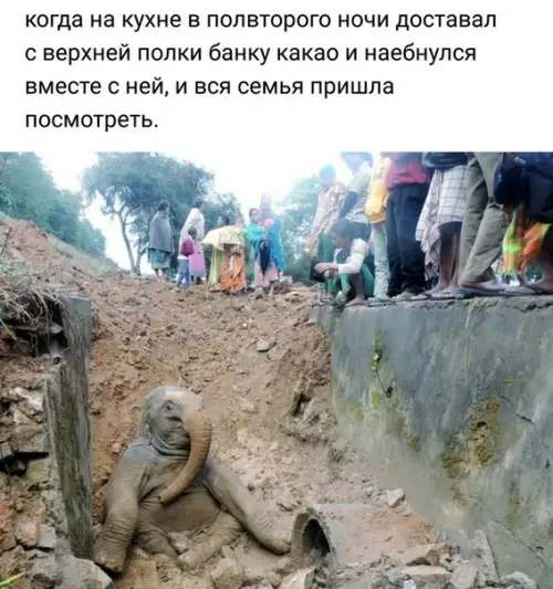 Смешная картинка №274268