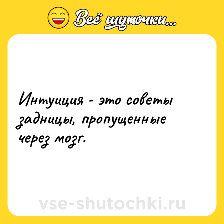 Шутка: Интуиция - это советы задницы, пропущенные через мозг.