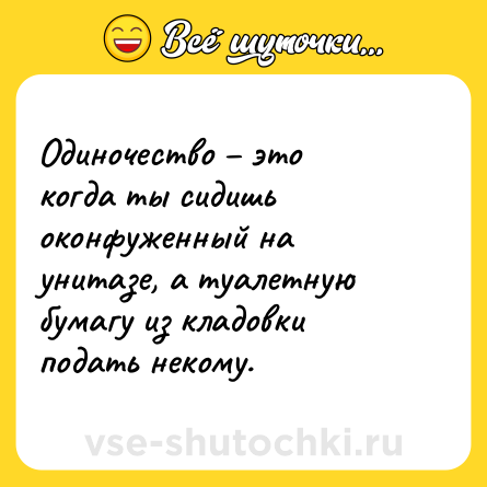 Шутка: Одиночество – это когда ты сидишь оконфуженный на унитазе, а туалетную бумагу из кладовки подать некому.