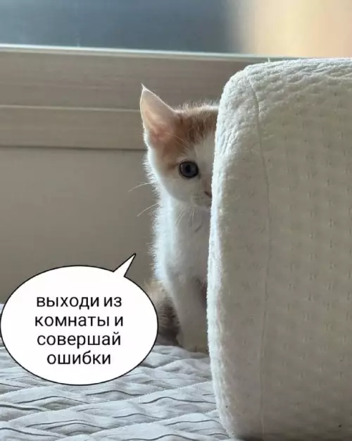 Смешная картинка №739712