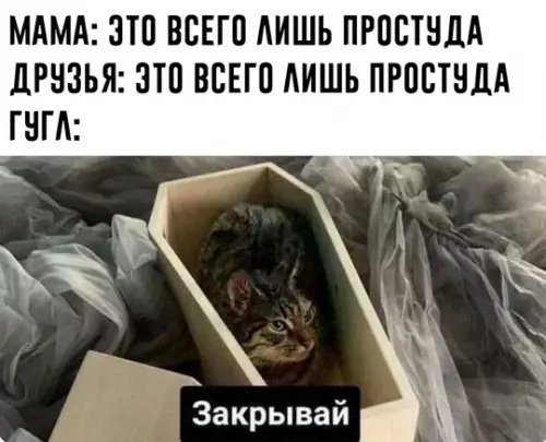Смешная картинка №724225