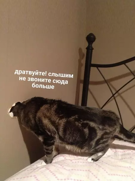 продолжение Смешная картинка №583042 Как на самом деле должен выглядеть домофон: