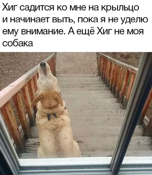 Смешная картинка №670428