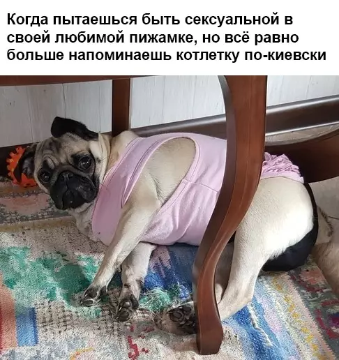Смешная картинка №371192