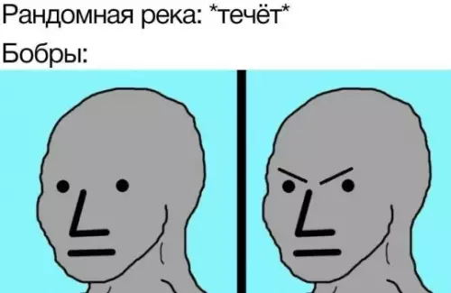 Бобры на низком старте! 🦫🌊 - Рандомная река: течёт Бобры: