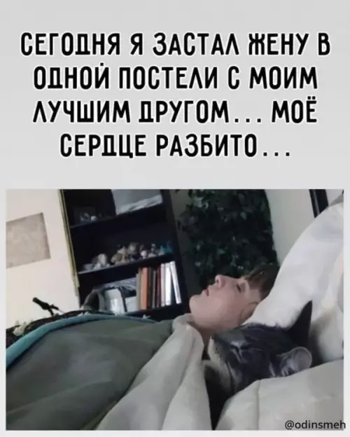 Смешная картинка №659509