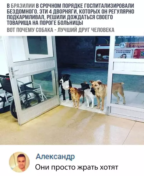 Смешная картинка №319480