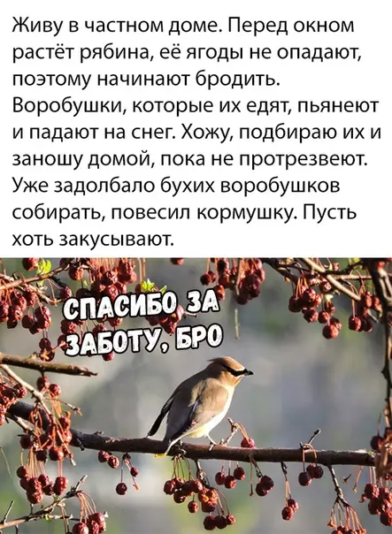 Смешная картинка №324147