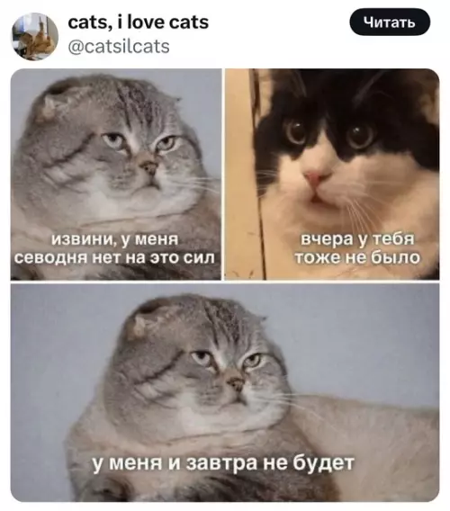 Смешная картинка №774201