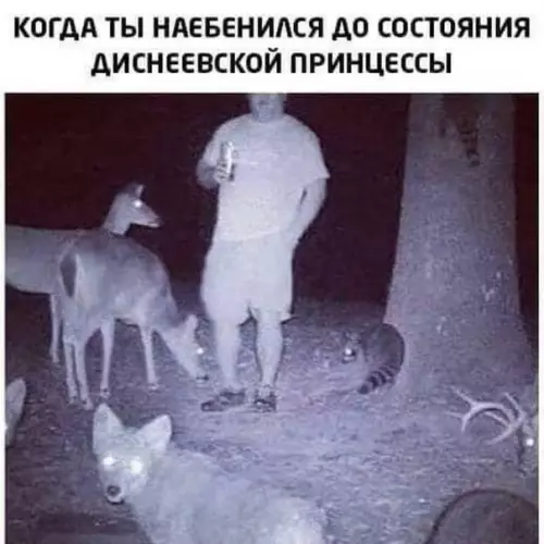 Смешная картинка №373650