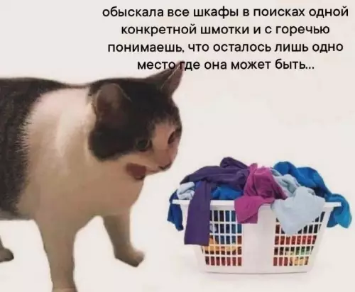 Смешная картинка №735975