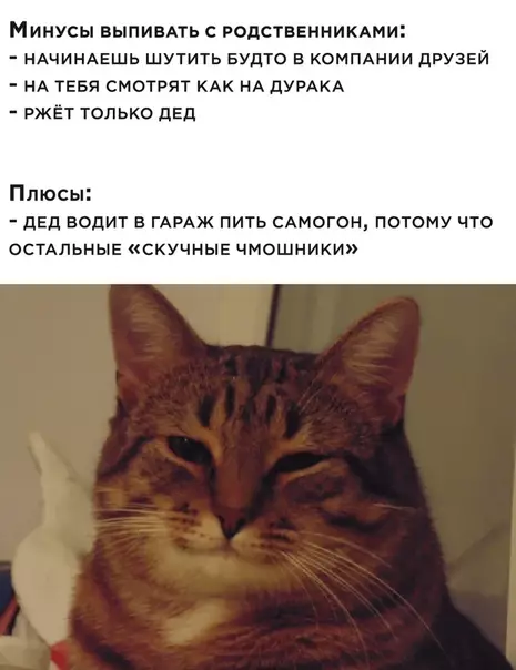 Смешная картинка №506356
