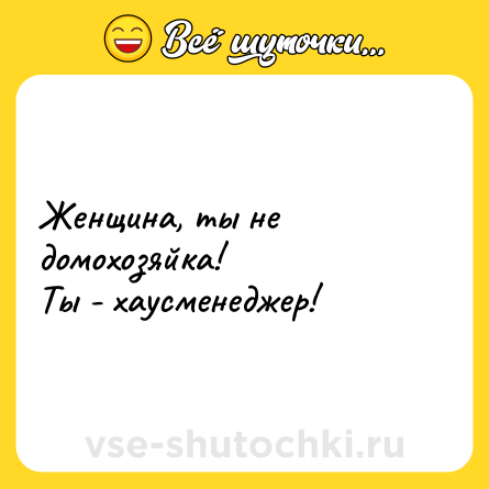 Шутка: Женщина, ты не домохозяйка!<br>Ты - хаусменеджер!