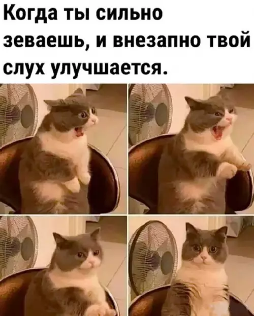 Смешная картинка №717379