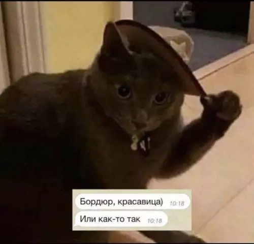 Кот в стиле люкс 🐈‍⬛✨ - Бордюр, красавица) Или как-то так