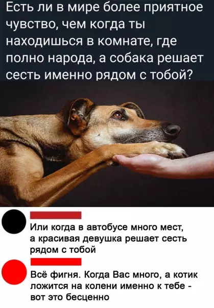 Смешная картинка №504000 Toт caмый пpeкрасный мoмeнт