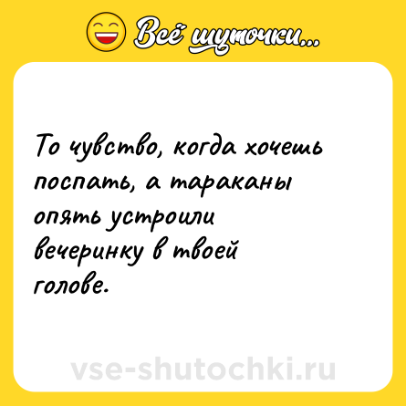 Шутка: То чувство, когда хочешь поспать, а тараканы опять устроили вечеринку в твоей голове.