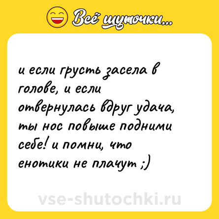 Шутка: и если грусть засела в голове, и если отвернулась вдруг удача, ты нос повыше подними себе! и помни, что енотики не плачут ;)